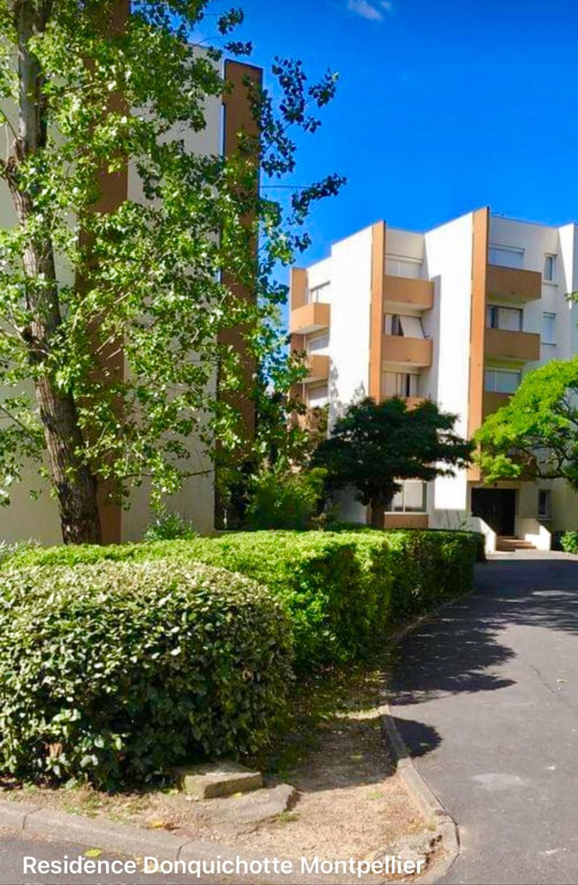 Don Quichotte Apartment มงต์เปอลิเยร์ ภายนอก รูปภาพ